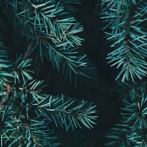 Christmas 2026
